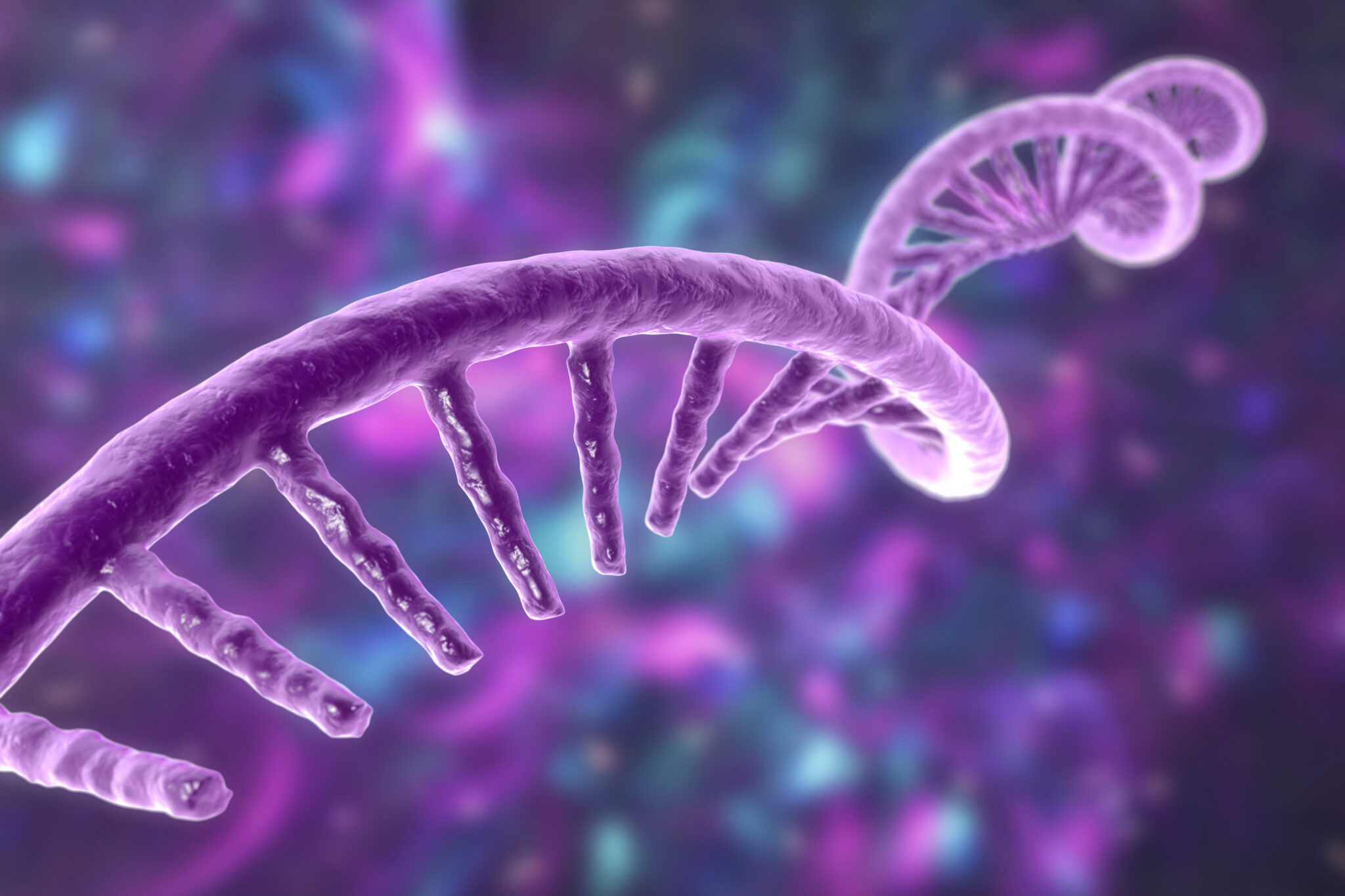 Qu’est-ce que l’ARN? - RNA Quebec